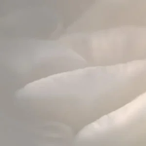 tratamiento indiba